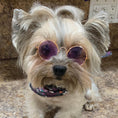 Load image into Gallery viewer, Dog Sunglasses
