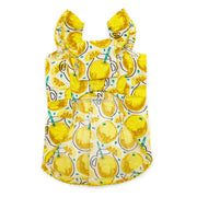 Sweet Lemonade Dress