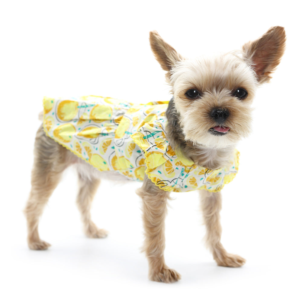 Sweet Lemonade Dress