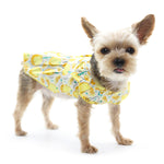 Sweet Lemonade Dress