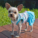 Sweet Heart Dress