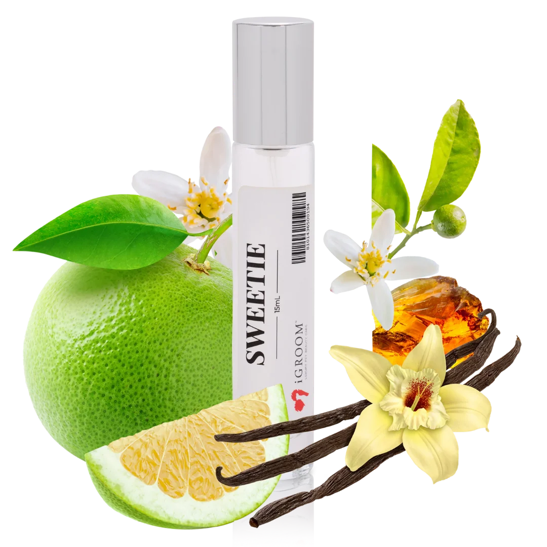  professional dog grooming tool Southlake Paws