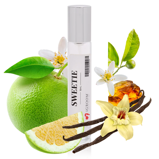  professional dog grooming tool Southlake Paws