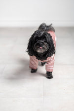Talula Pet Pajama Set
