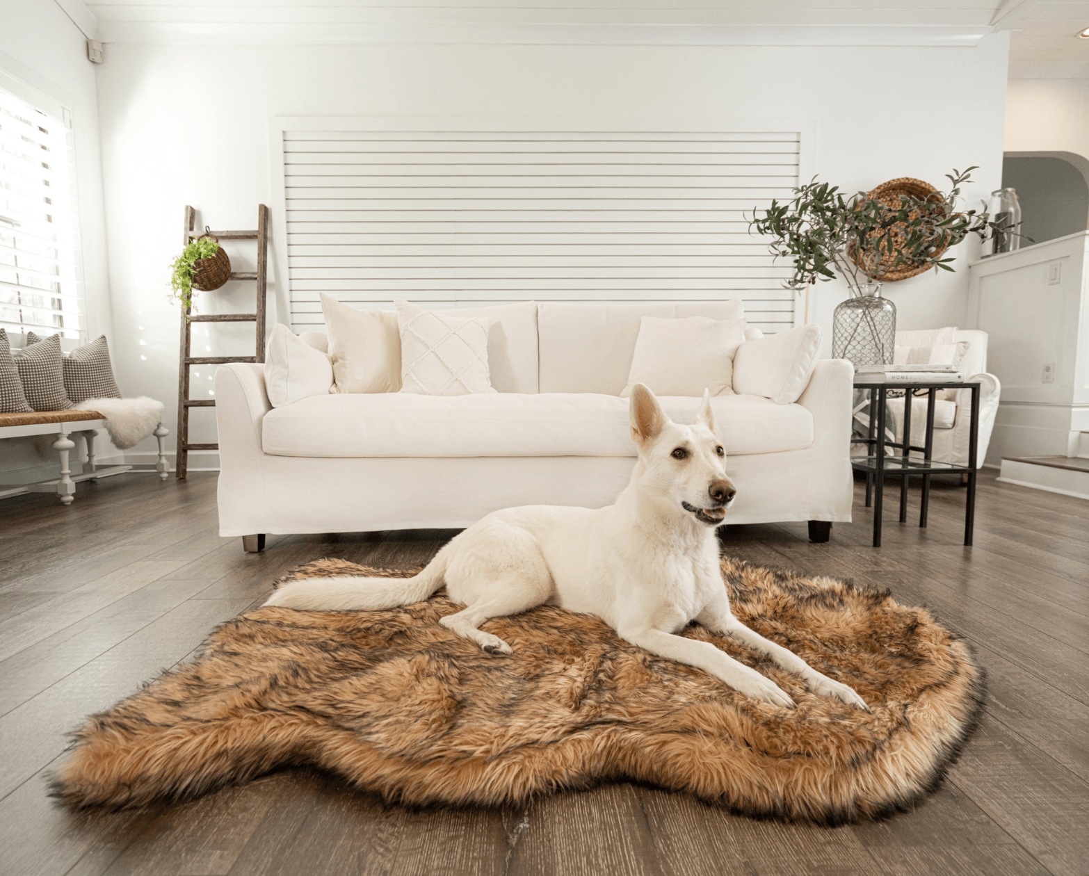 PupRug Faux Fur Orthopedic Dog Bed - Curve Sable Tan - Southlake Paws