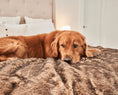 Load image into Gallery viewer, PupProtector™ Short Fur Waterproof Throw Blanket - Sable Tan
