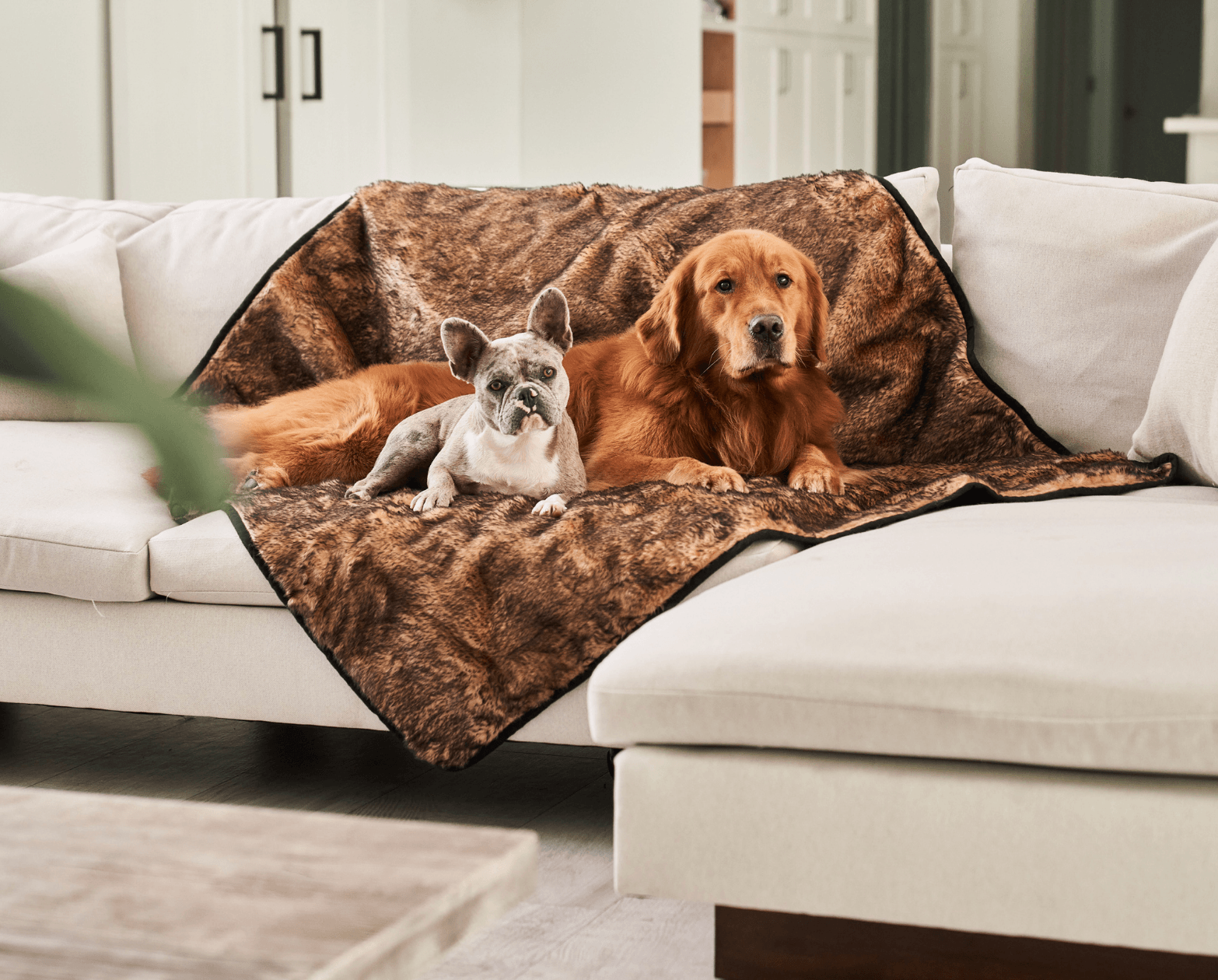 PupProtector™ Short Fur Waterproof Throw Blanket - Sable Tan - Southlake Paws