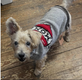 Load image into Gallery viewer, Tattooed Mom Dog Sweater
