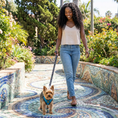 Load image into Gallery viewer, EcoBark Teal Dog Harness - Over-the-Head Soft Mesh Dog Vest Halter for Small to Medium Dogs and Puppies
