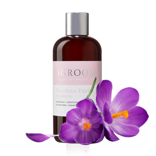 Dog Tearless Facial Shampoo 16oz by iGroom