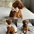 Load image into Gallery viewer, Cozy Olive Teddy Set
