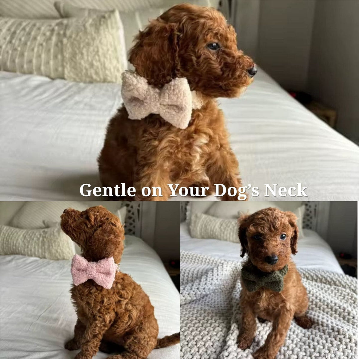 Lambskin Teddy Set