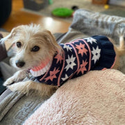 Star Turtleneck Sweater Dog Dress