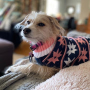 Star Turtleneck Sweater Dog Dress
