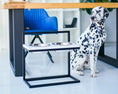 Load image into Gallery viewer, Adjustable Pet Bowl Stand - Southlake Paws
