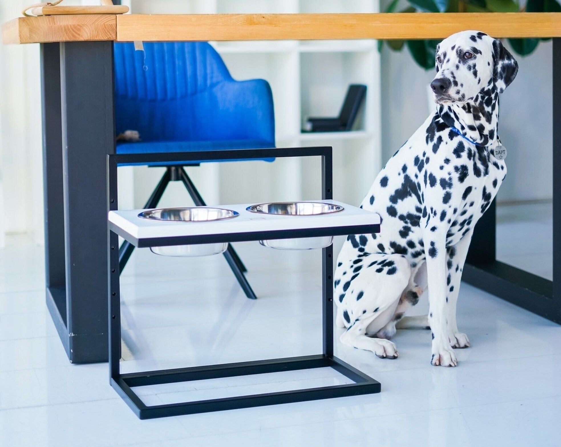 Adjustable Pet Bowl Stand - Southlake Paws
