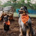Load image into Gallery viewer, Texas State Dog Bandana x Studio Orch Collaboration
