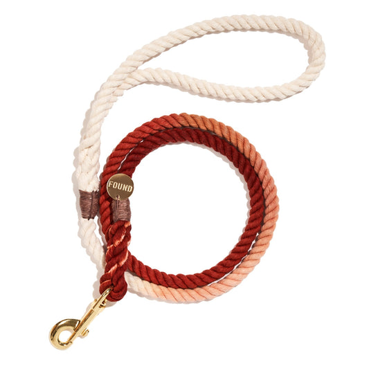Standard 5ft Leads Premium The Arizona Cotton Rope Dog Leash, Standard - 5FT