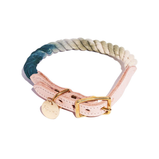 Dog Collars Premium The Catskill Ombre Cotton Rope Cat & Dog Collar