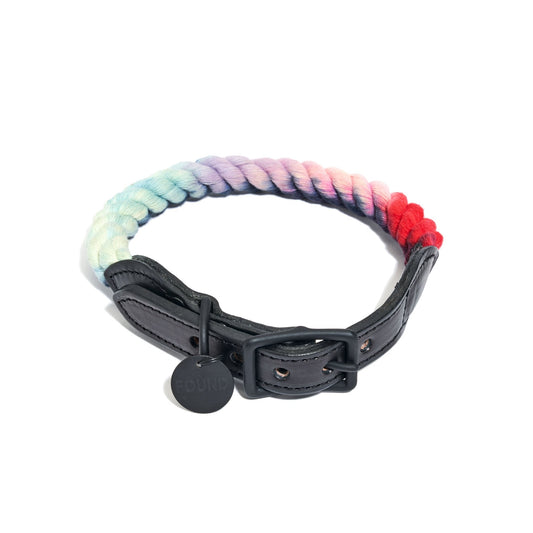 Dog Collars Premium New! The Dioji Cotton Rope Cat & Dog Collar