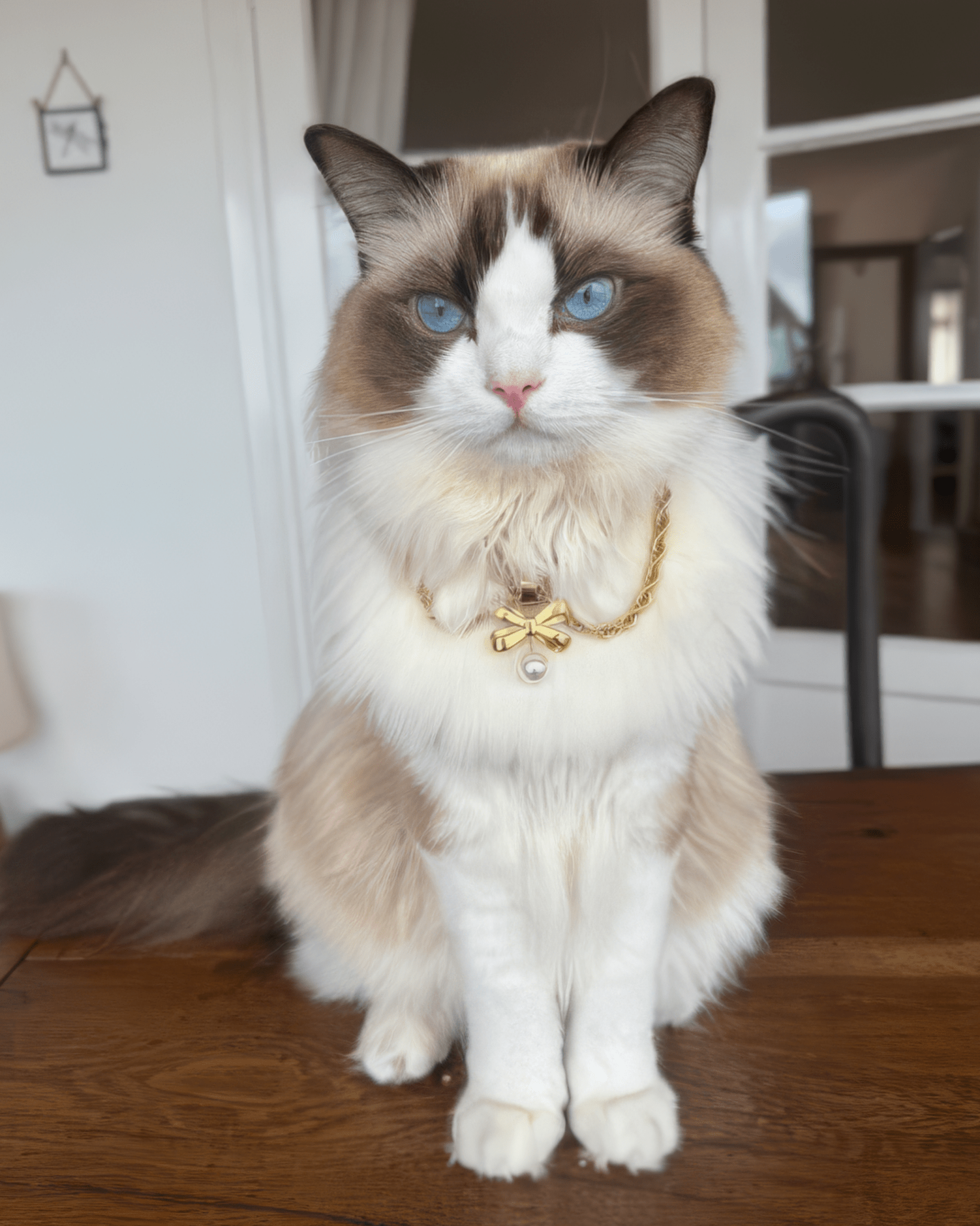 The Grace Necklace