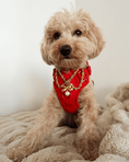 Load image into Gallery viewer, The Grace Necklace
