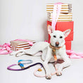 Load image into Gallery viewer, The Lois Ombre Cotton Rope Dog Leash, Adjustable | Found My Animal
