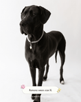 Load image into Gallery viewer, The Lola Necklace
