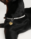 Load image into Gallery viewer, The Lola Necklace
