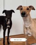 Load image into Gallery viewer, The Lola Necklace
