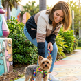 Load image into Gallery viewer, EcoBark Step In Dog Harness - XXXS to Small Breeds- Reflective Soft Mesh Harness for Teacup, Small Dogs and Puppies / Tie-dye
