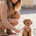 Load image into Gallery viewer, EcoBark Baby Pink Dog Leash - Comfort Grip Padded Leash- 4 ft, 5ft, and 6ft Leash
