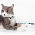 Load image into Gallery viewer, Touchcat 'Radi-Claw' Durable Cable Cat Harness and Leash Combo
