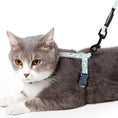 Load image into Gallery viewer, Touchcat 'Radi-Claw' Durable Cable Cat Harness and Leash Combo
