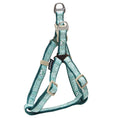 Load image into Gallery viewer, Touchdog 'Funny Bone' Tough Stitched Dog Harness and Leash
