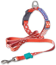 Touchdog ®'Trendzy' 2-in-1 Matching Fashion Designer Printed Dog Leash and Collar