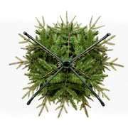 Kurt Adler 5-Foot 250-Light Incandescent Grand Fir Tree