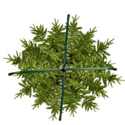 Kurt Adler 9-Foot 1000 Warm White LED Grand Fir Medium Tree