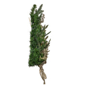 Kurt Adler 22-Inch Battery-Operated Prelit Decorated Wall Tree with Champagne Bow