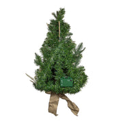 Kurt Adler 22-Inch Battery-Operated Prelit Decorated Wall Tree with Champagne Bow