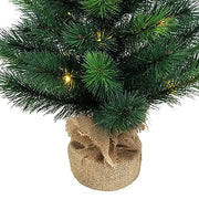 Kurt Adler 2.5-Foot Battery-Operated Miniature Pine Tree