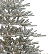 Kurt Adler 7-Foot Pre-Lit Warm White LED Vail Flocked Pine Tree