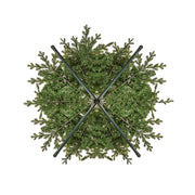 Kurt Adler 9-Foot Charleston Medium Tree with 950-Light