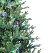 Kurt Adler 7-Foot Pre-Lit Multi-Color LED Jackson Pine Tree