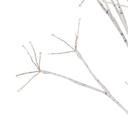 Kurt Adler 4-Foot White Birch Tree with Warm White LED 8 Function Lights