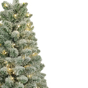 Kurt Adler 4-Foot Pre-Lit Warm White LED Pine Tree In Urn
