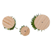 Kurt Adler Green Glittered Miniature Tree Set