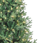 Kurt Adler 6-Foot Warm White LED Jackson Pine Tree
