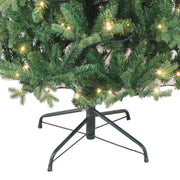 Kurt Adler 6-Foot Warm White LED Jackson Pine Tree