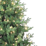 Kurt Adler 6-Foot Pre-Lit Clear Incandescent Jackson Pine Tree